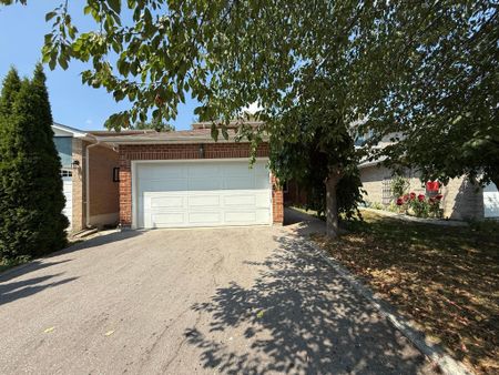 For Lease - 60 Lund Street Unit# Basement, Richmond Hill, Ontario - Photo 4