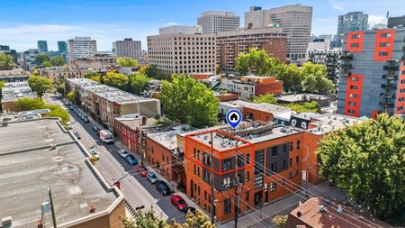 Appartement à vendre - Montréal (Ville-Marie) (Village) - Photo 2