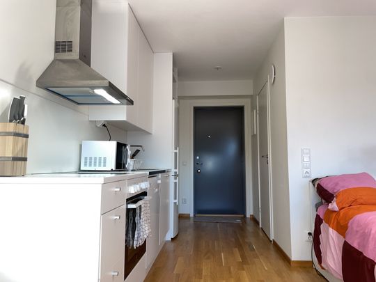 Södra Häggviksvägen, Sollentuna - Photo 1