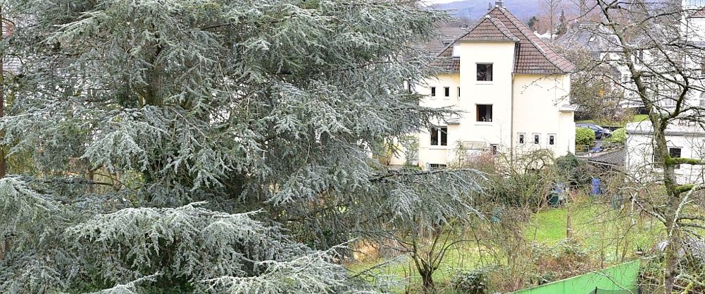 Bonn Villenviertel - helle Balkonwohnung in Rheinnähe - Video online - Foto 1