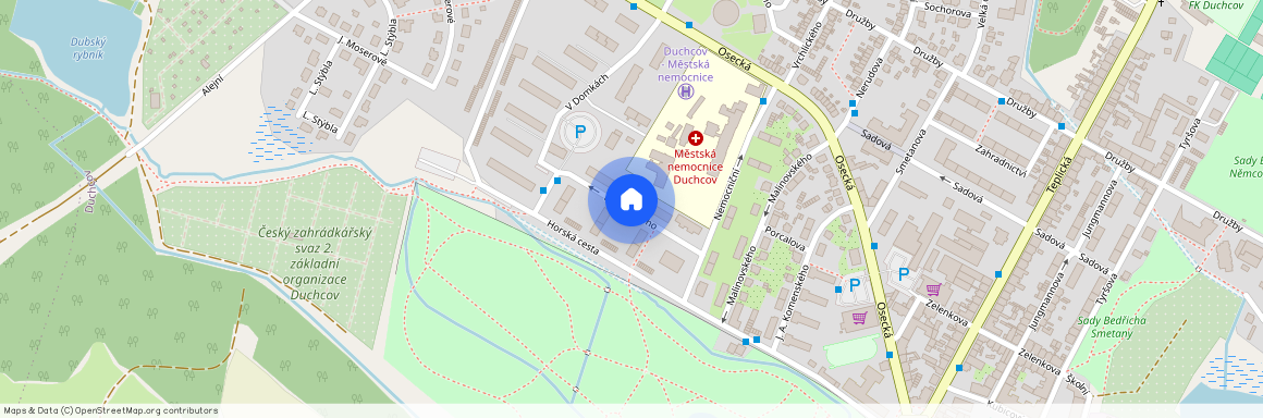 Bydžovského, Duchcov, okres Teplice