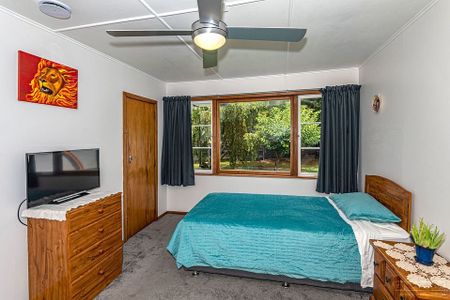Sunny spacious home with a large backyard - Photo 3