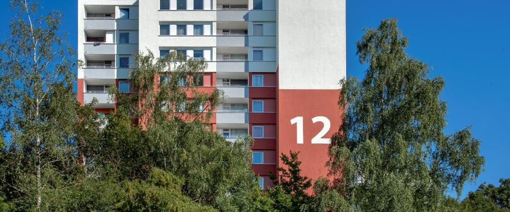 Gemütliche 2-Zimmer-Wohnung zu vermieten - Photo 1