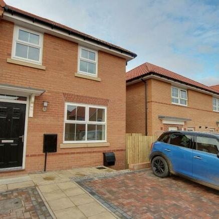 3 bedroom semi-detached house to rent - Photo 4