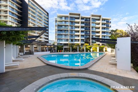 226/7 Irving Street, Phillip ACT 2606 - Apartment For Rent | Domain - Photo 5