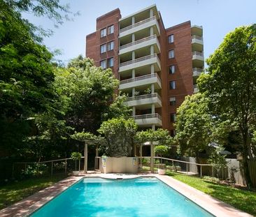 205/2-6 Birtley Place Elizabeth Bay NSW 2011 - Photo 4