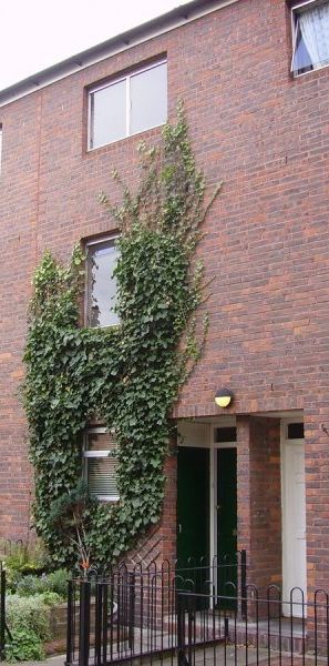 Holland Walk, N19, London - Photo 2