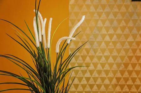 Carrer de Vic, Barcelona, Catalonia 08006 - Photo 3