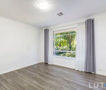 151 Duffy Street, Ainslie ACT 2602 - House For Rent | Domain - Photo 2