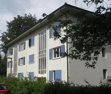 In the middle of the city and yet in the countryside - Photo 1