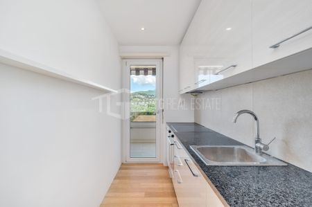 LUMINOSO E RINNOVATO 3.5 LOCALI A PREGASSONA - Foto 3