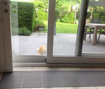 vragen staat vrij - Photo 1