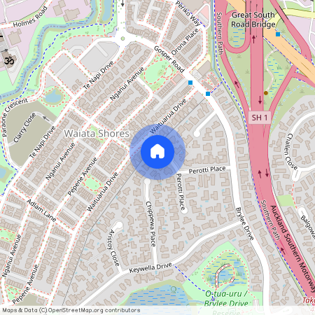 23 Perotti Place, Conifer Grove, Manukau City