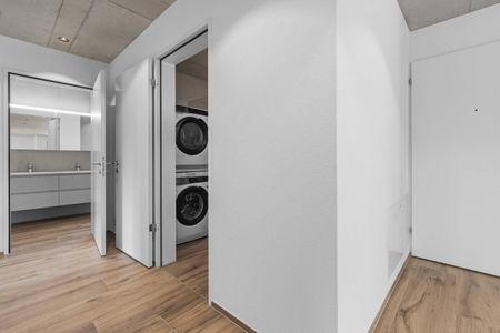 Erstvermietung: Grosse Flächen, wohnen mit viel Raum - Photo 4