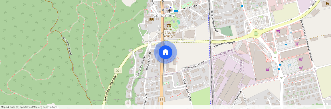 Chemin du Verger, 1868 Collombey-Muraz