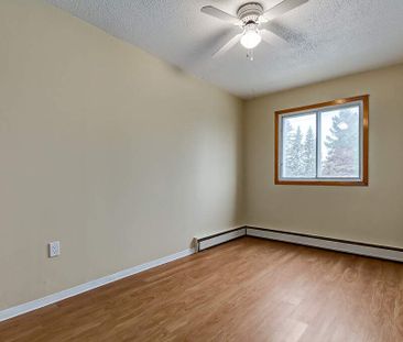 Renovated Suite - 1 Bedroom - Photo 6
