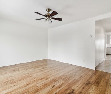 6147 Rue Jarry E. - Photo 1