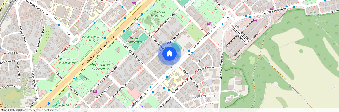 Via Aristide Leonori, 40954, Roma