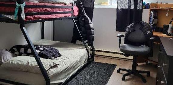 Beau 4.5 rénové à St Janvier - Photo 2