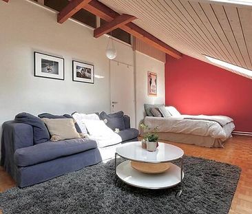 5½ Zimmer-Wohnung in Herrliberg (ZH), möbliert, auf Zeit - Foto 2