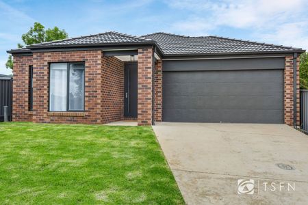 8 Drechsler Street, Flora Hill - Photo 5