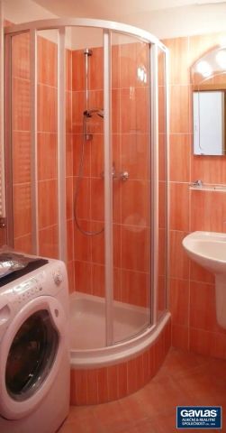 Pronájem 1+kk, s balkonem a komorou, 34 m - Photo 4