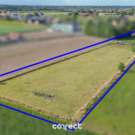 Huis te huur in DIKSMUIDE - Foto 4