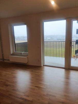 Ekerödsgatan, Helsingborg - Photo 1