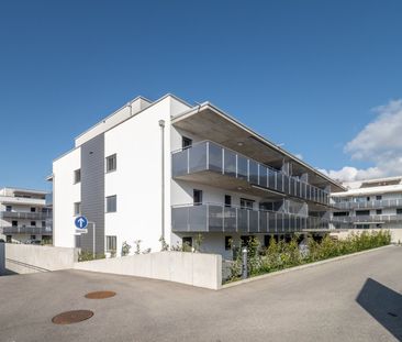 Appartement 2.5 pièces au rez-de-chaussée ! - Photo 3