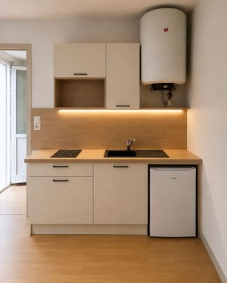 Location Appartement 1 pièce 14m² - Photo 1
