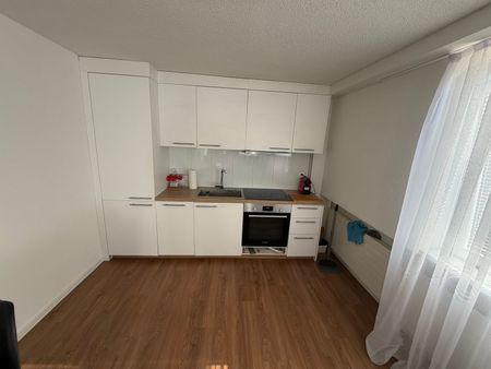 Charmante 2-Zimmer-Wohnung im Untergeschoss in Bischofszell - Foto 3