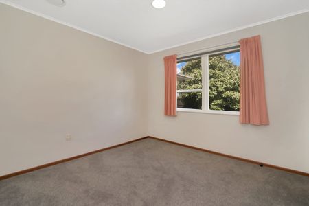 20a Taupo Avenue, Mount Maunganui, Tauranga - Photo 4