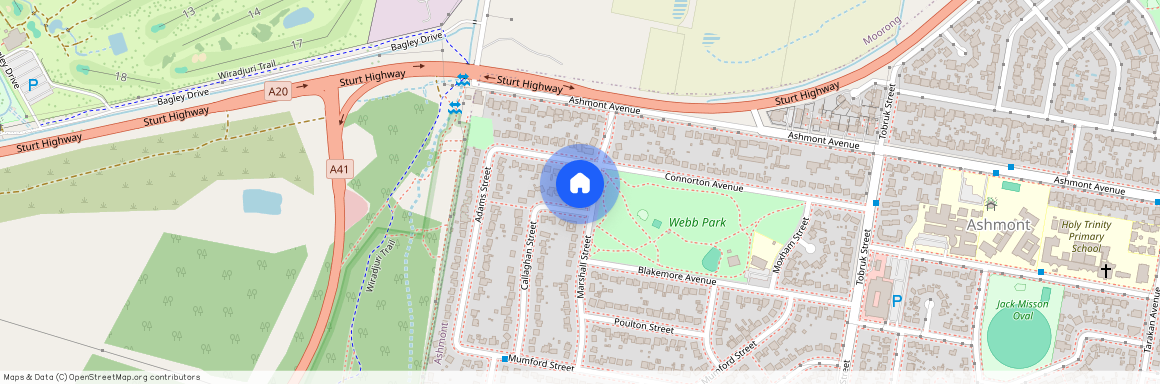 40 Marshall Street, NSW 2650, Ashmont