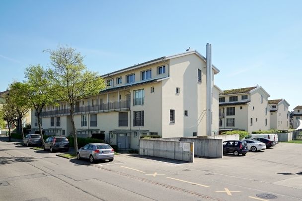 Appartement maisonnette exclusif à Allschwil - Photo 1
