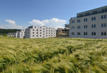 3.5 Zimmer, 79 m², 2. Stock - Foto 3