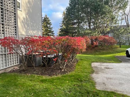 For Lease - 706 Johnston Park Avenue, Collingwood, Ontario - Photo 5