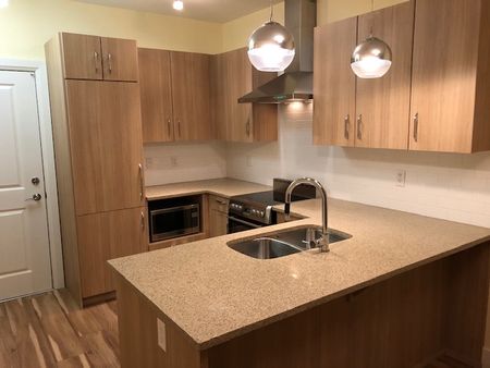 THE RADIUS - 309 - Rad309 - Photo 3