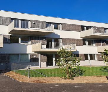 NEULENGBACH IX/1 - Foto 5