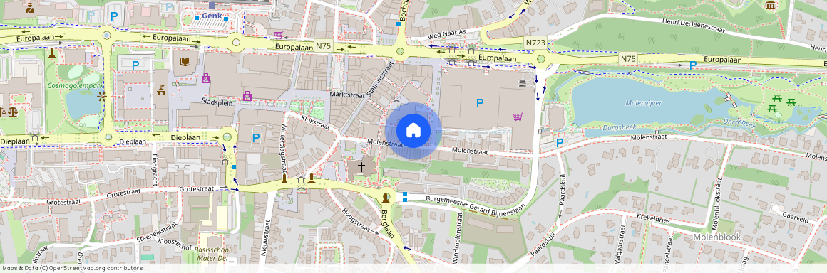 Molenstraat 37 / 31, 3600 Genk