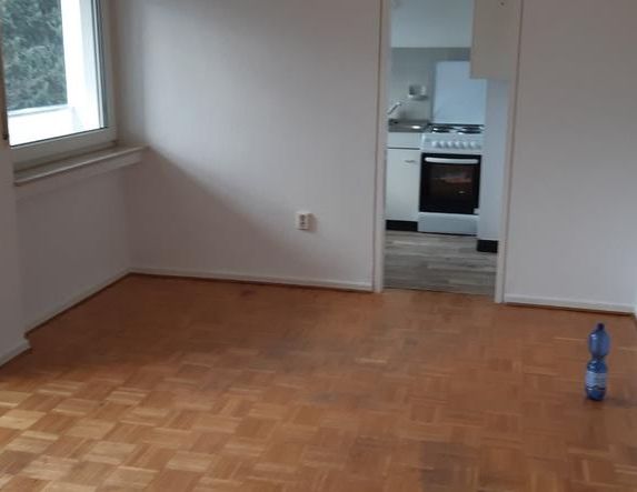 1,5 ZKBB-Wohnung/App. in Wiesbaden - Foto 1