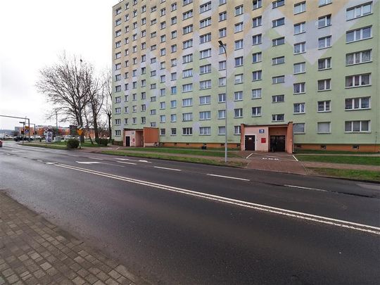 Mieszkanie Wynajem: Koszalin - Zdjęcie 1