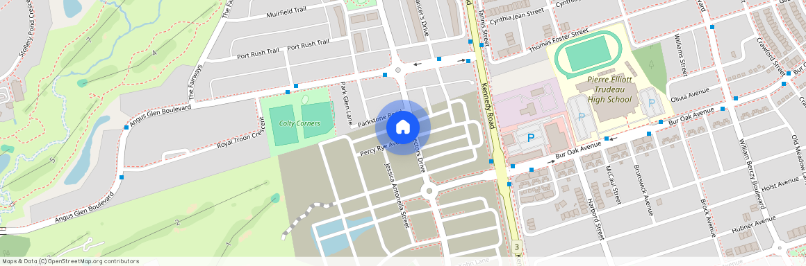 6 Percy Rye Avenue, Markham