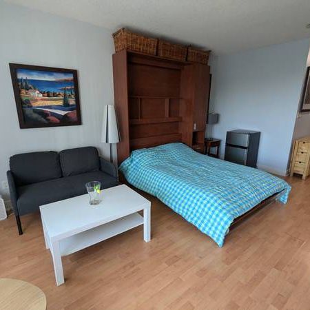 Furnished Bachelor Utilities & Parking included - Photo 1