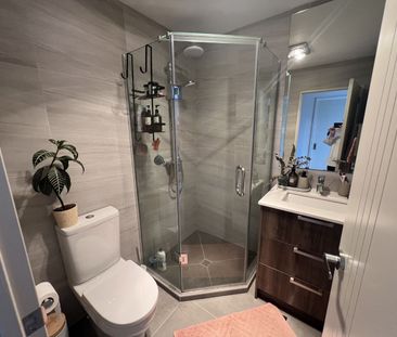 7 Longshore Drive, Long Bay - Photo 4