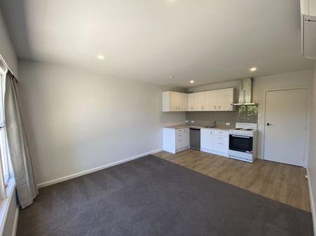 Refurbished two bedroom unit on Armagh - Photo 5