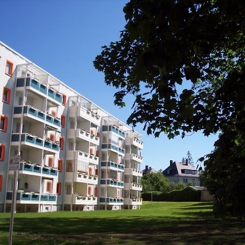 2-Raum-Wohnung mit Balkon - Foto 1