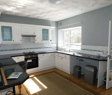 Herbert Street, Hafodyrynys, Crumlin, NP11 - Photo 6