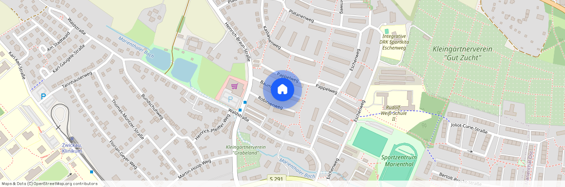 Baumhaselweg 8, Marienthal, 08060, Zwickau