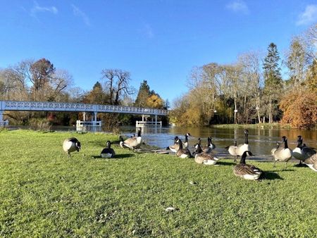 Mulberry House, Whitchurch Road, Pangbourne, Reading, RG8 - Photo 3