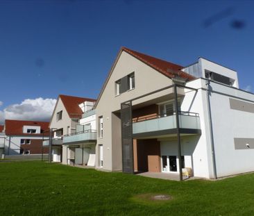 F2 BBC – Domaine des Cépages - Photo 3